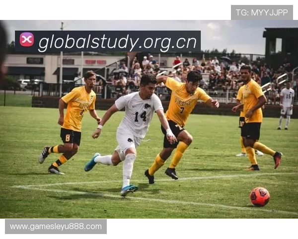 乐鱼在线地址便捷访问指南帮你轻松找到心仪体育赛事直播链接 乐鱼在线地址便捷访问指南帮你轻松找到心仪体育赛事直播链接