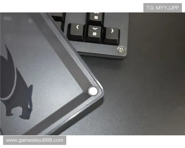 乐鱼电竞官方入口详细操作流程，助你快速注册登录享受专业电竞赛事