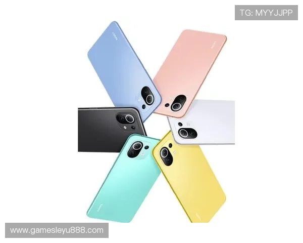 乐鱼网页版登录入口新版安全措施升级，放心娱乐无后顾之忧