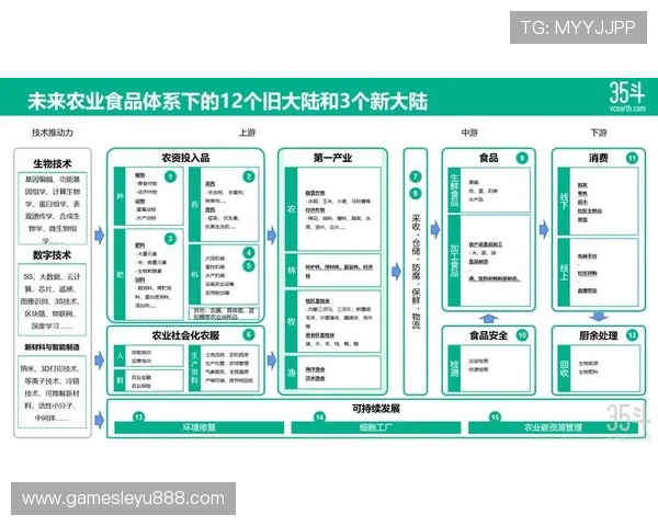 G组出线形势全景解析：比赛关键节点与晋级可能性评估